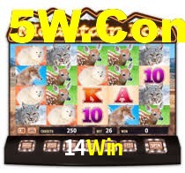 14Win,14Win Bet