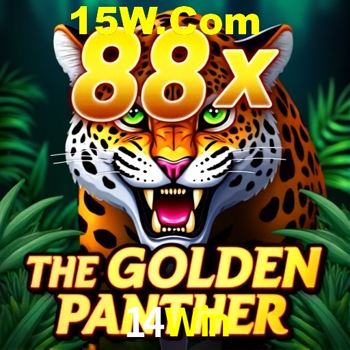 14Win Rio de Janeiro - Bonus Terms