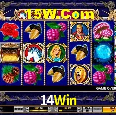 14Win Belo Horizonte - Jackpots